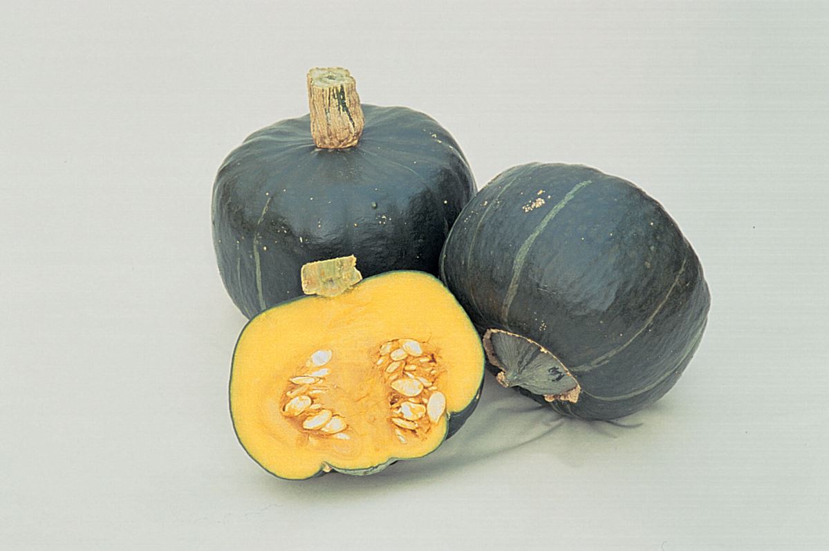 Buttercup (Burgess Strain) – Organic Squash